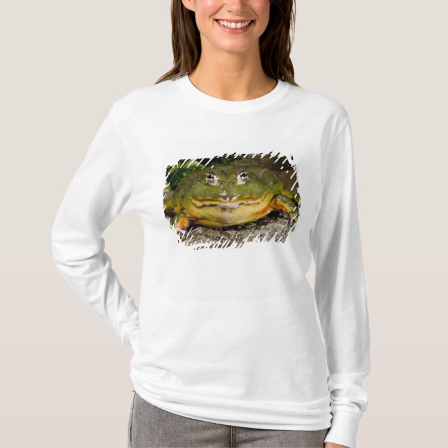 Afrikansk grävgroda, Pyxicephalus Tee Shirt (Framsida)