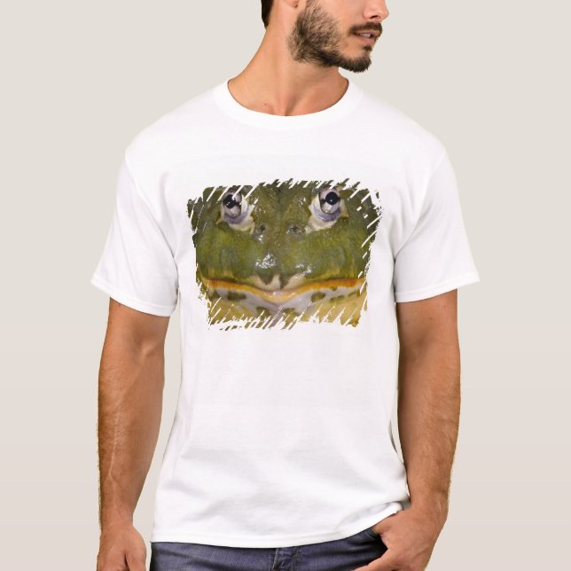 Afrikansk grävgroda, Pyxicephalus Tee Shirt (Framsida)