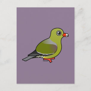 Afrikansk Grönt Pigeon Vykort