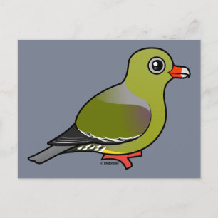Afrikansk Grönt Pigeon Vykort