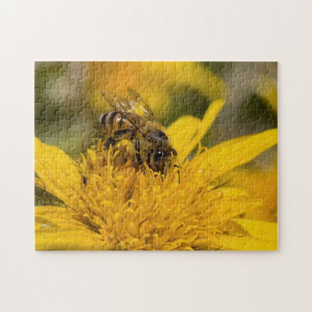 Afrikansk honungsbi med pollen Sacs Matande Pussel (Horisontell)
