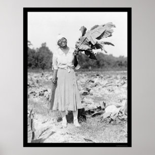 Afrikansk kvinna med tobak 1912 poster