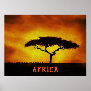 Afrikansk landskapsbild Acacia Träd Poster