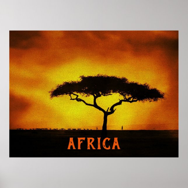 Afrikansk landskapsbild Acacia Träd Poster (Framsidan)
