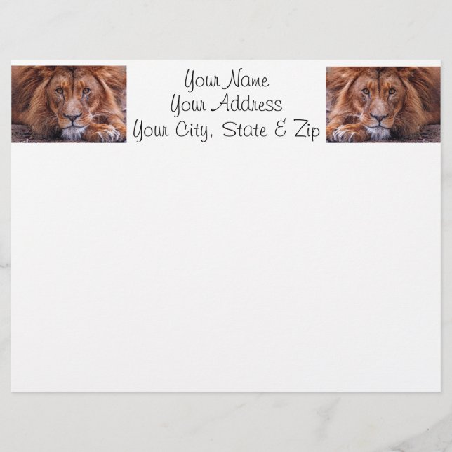 Afrikansk Lejon (Framsida)