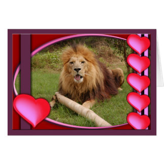 afrikansk-lejon-00005-65x45 hälsningskort