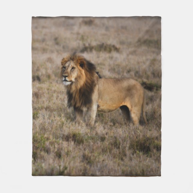 Afrikansk Lejon Fleece Blanket (Framsidan)