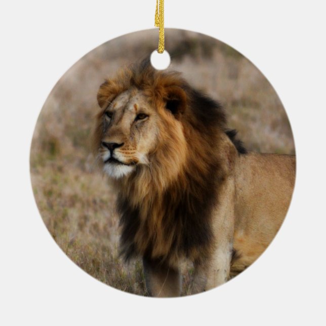 Afrikansk Lejon i Grass Julgransprydnad Keramik (Baksidan)