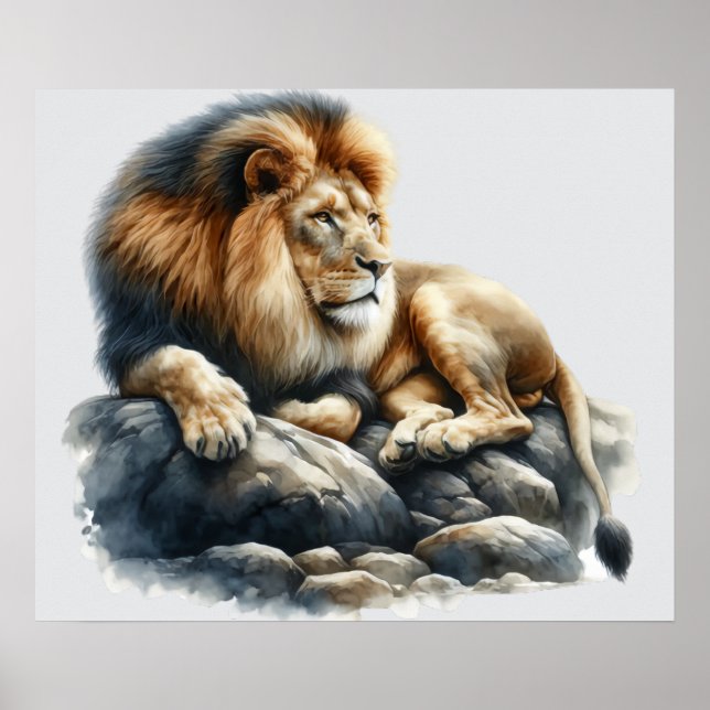 Afrikansk Lejon i vattenfärg Poster (Framsidan)