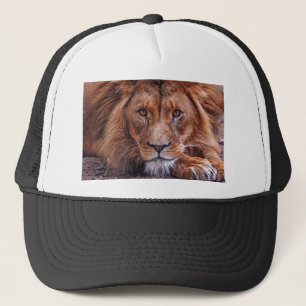Afrikansk Lejon Keps