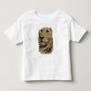 Afrikansk Lejon, Panthera leo, Porträtt av en T Shirt