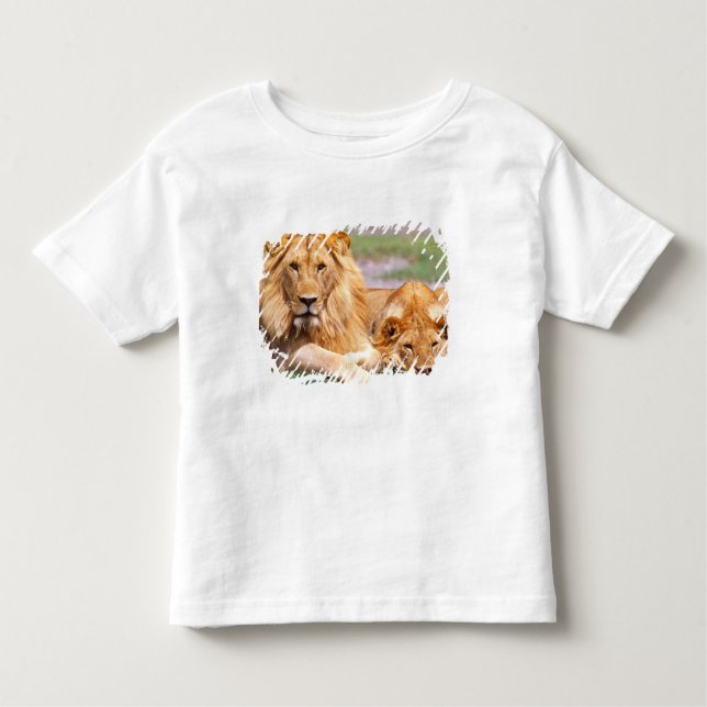 Afrikansk Lejon, Panthera leo, Tanzania T Shirt (Framsida)