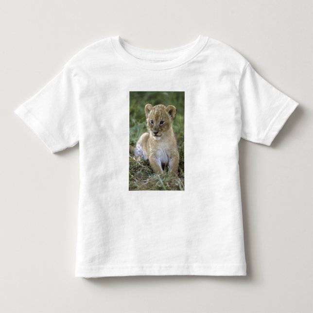 Afrikansk lejon, Panthera leo), Tanzania, Tee (Framsida)