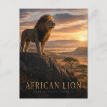 Afrikansk Lejon Savann Djur