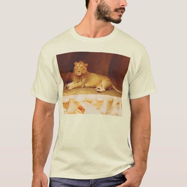 Afrikansk Lejon T Shirt (Framsida)