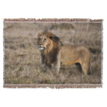 Afrikansk Lejon Throw Blanket