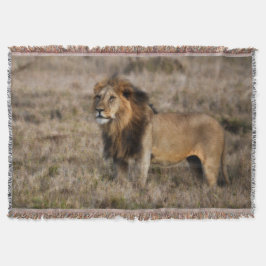 Afrikansk Lejon Throw Blanket Filt