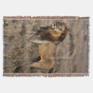 Afrikansk Lejon Throw Blanket Filt
