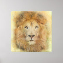 Afrikansk Lejon Wildlife Watercolor Porträtt