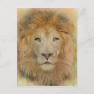Afrikansk Lejon Wildlife Watercolor Porträtt Vykort