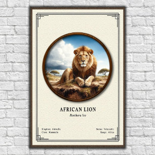 Afrikansk Lejon Zoologi Serie Poster