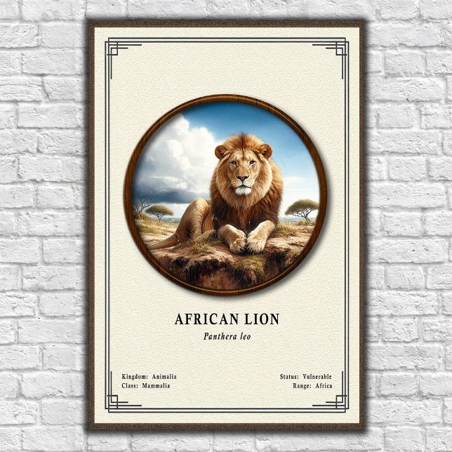 Afrikansk Lejon Zoologi Serie Poster (Skapare uppladdad)