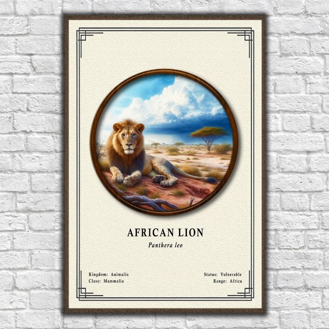 Afrikansk Lejon Zoologi Serie Poster (Skapare uppladdad)