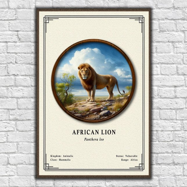 Afrikansk Lejon Zoologi Serie Poster (Skapare uppladdad)
