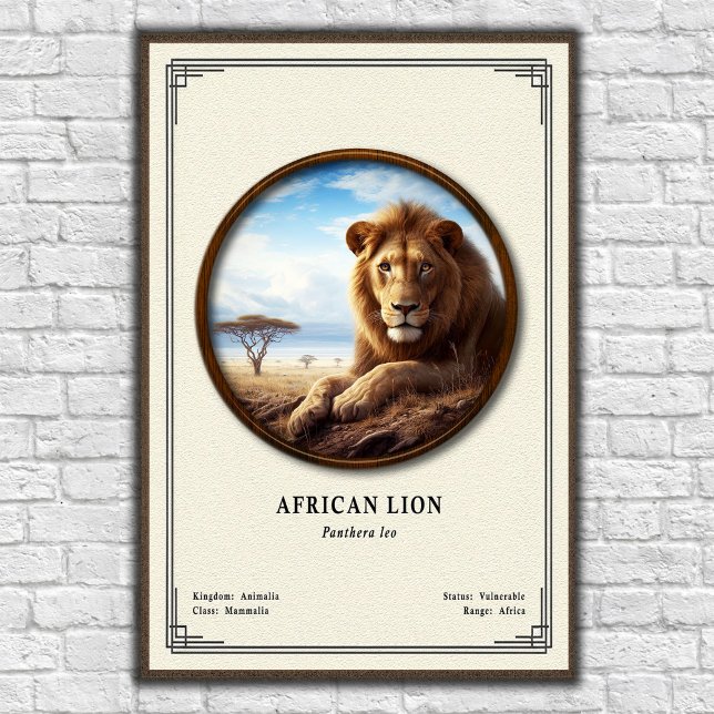 Afrikansk Lejon Zoologi Serie Poster (Skapare uppladdad)