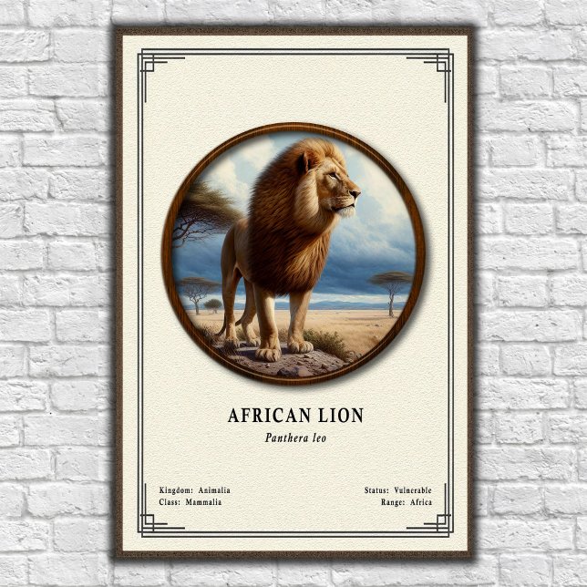 Afrikansk Lejon Zoologi Serie Poster (Skapare uppladdad)