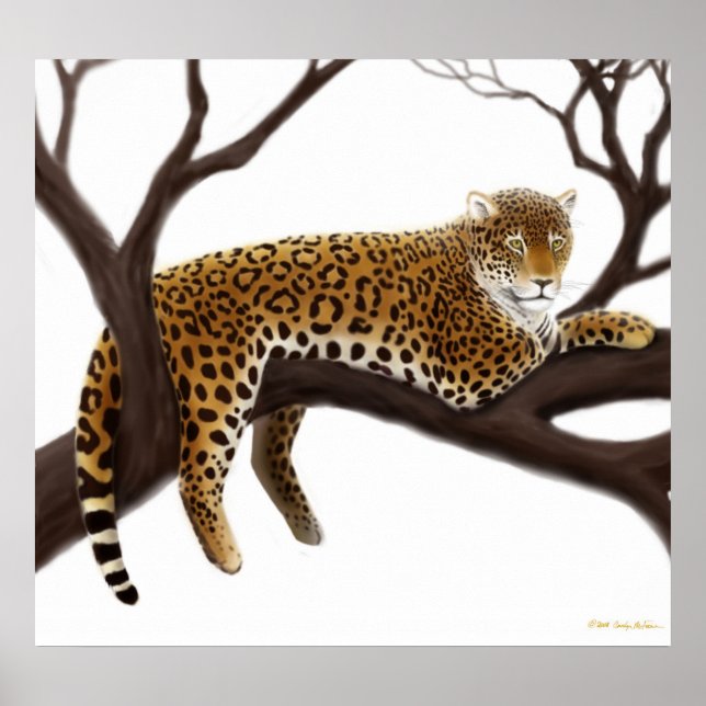 Afrikansk leopard Poster (Framsidan)