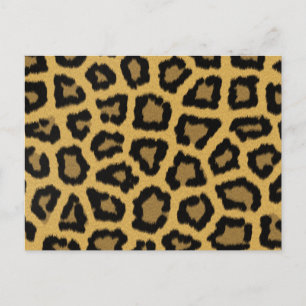 Afrikansk leopard Spots Vykort