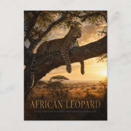 Afrikansk leopardakaciens savann DJUR Vykort