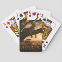 Afrikansk Leopardsakacia Savann DJUR Poker