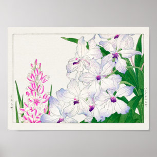 Afrikansk maj lily, Vanda coerulea, Tanigami Konan Poster