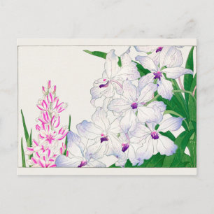 Afrikansk maj lily, Vanda coerulea, Tanigami Konan Vykort