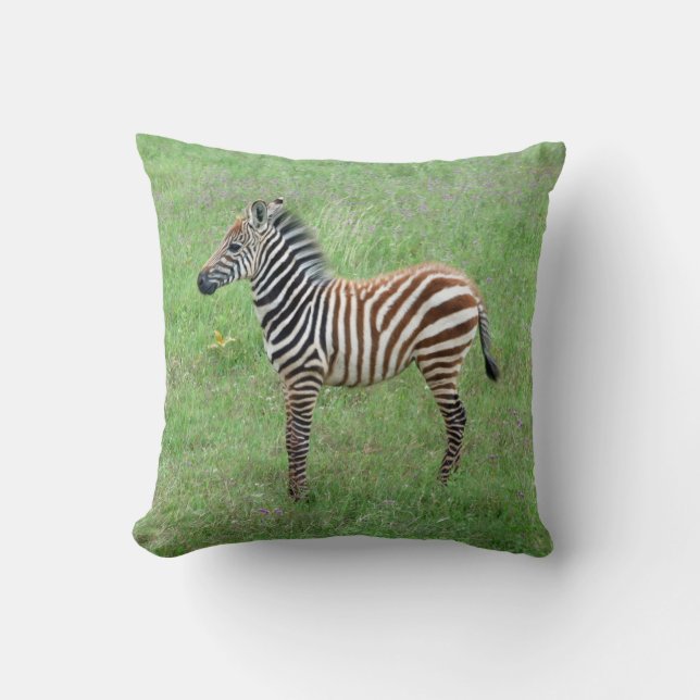 Afrikansk Ngorongoro Baby Zebra Kudde (Framsida)