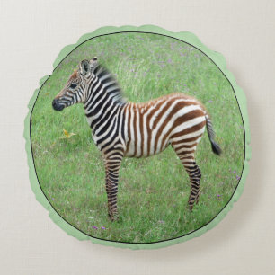 Afrikansk Ngorongoro Baby Zebra Rund Kudde