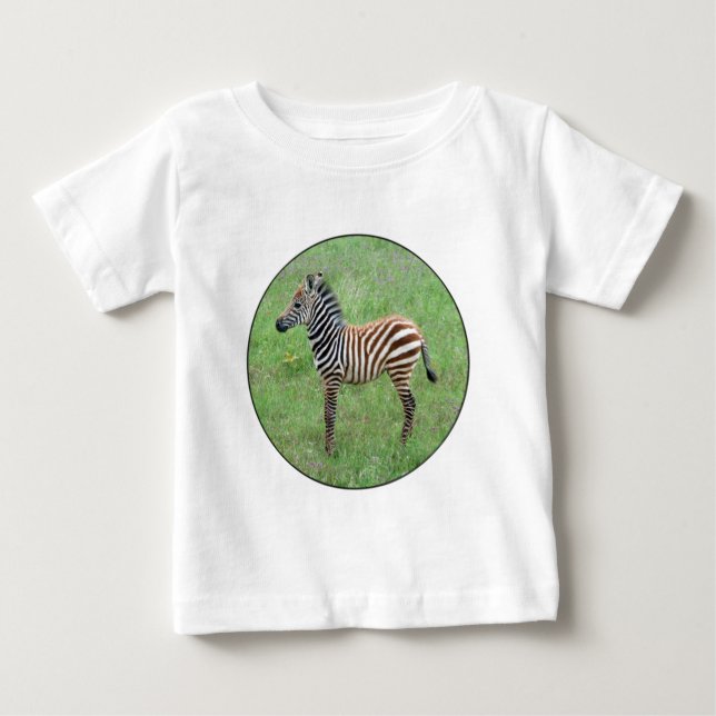 Afrikansk Ngorongoro Baby Zebra T Shirt (Framsida)