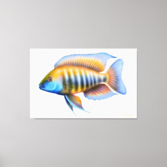 Afrikansk Peacock Cichlid-fisk som fiskats på kanv Canvastryck (Framsida)