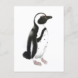 Afrikansk penguinpenna teckning vykort