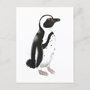 Afrikansk penguinpenna teckning vykort