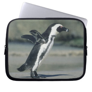 Afrikansk pingvin laptop sleeve