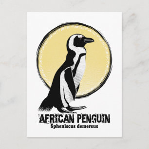 Afrikansk pingvin vykort