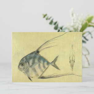 Afrikansk Pompano-fisk, Vintage Trådflossfisk
