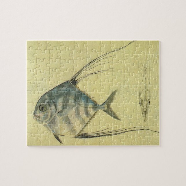 Afrikansk Pompano Fisk, Vintage Trådflossig Treval Pussel (Horisontell)
