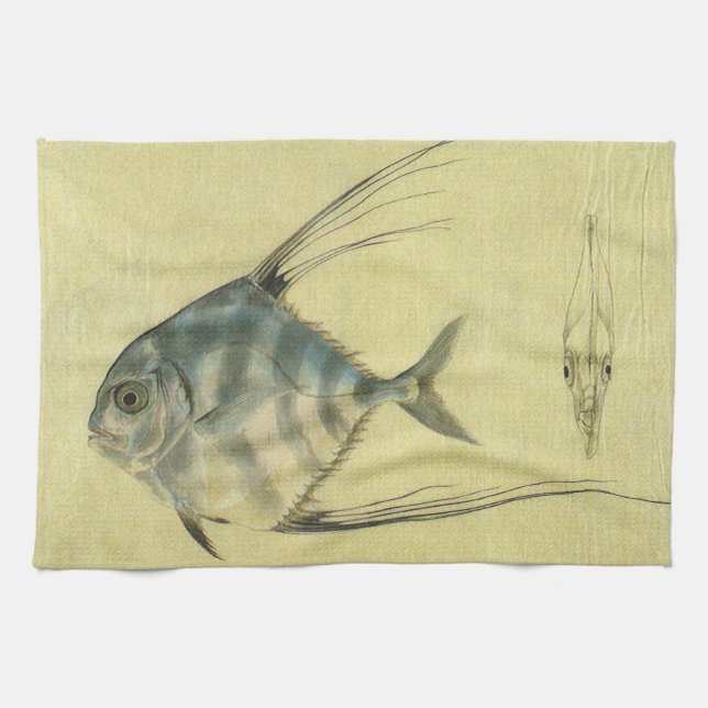 Afrikansk Pompano-fisk, Vintage Trådsimmare Treval Kökshandduk (Horisontell)