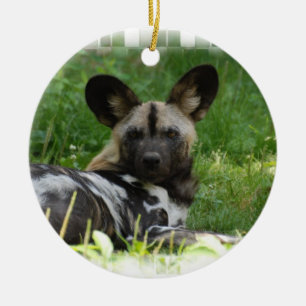 Afrikansk prydnad för vildhundfoto julgransprydnad keramik