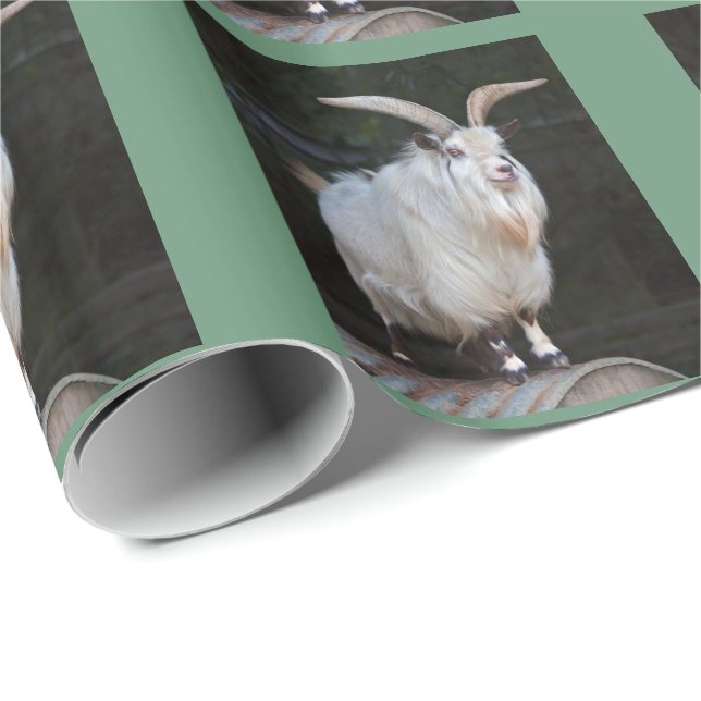 Afrikansk pygmégetappresentationspapper presentpapper (Rullad Hörn)