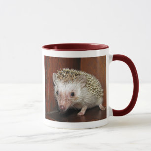 Afrikansk Pygmyigelkottmugg Mugg